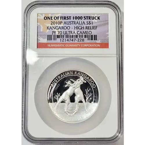 1 oz Silver (COIN)
