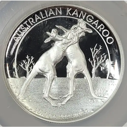 1 oz Silver (COIN) (2)