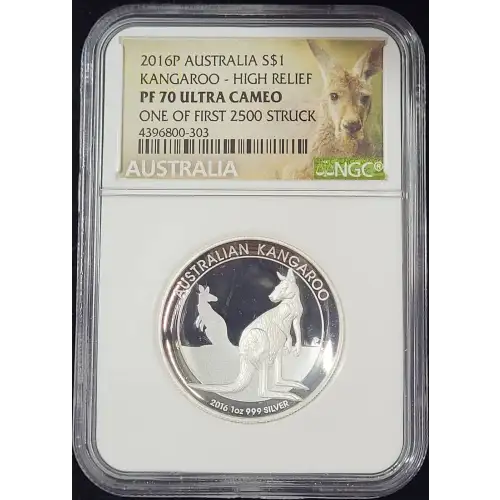 1 oz Silver (COIN)