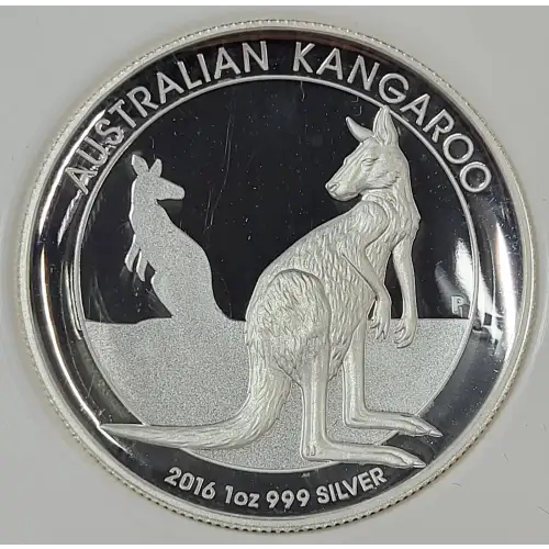 1 oz Silver (COIN) (3)
