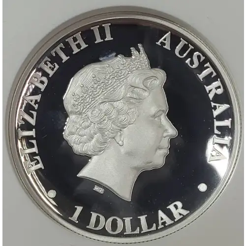 1 oz Silver (COIN) (4)
