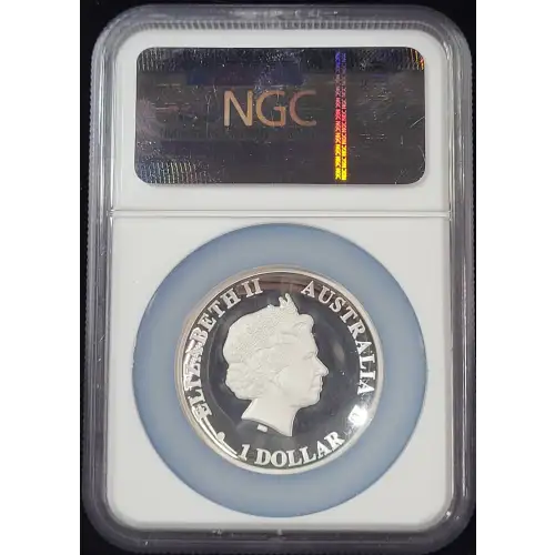 1 oz Silver (COIN) (2)