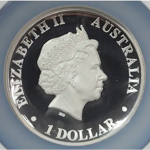 1 oz Silver (COIN) (3)