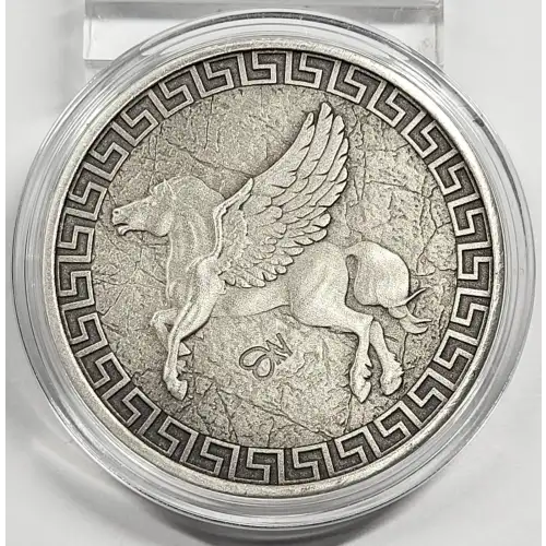1 oz Silver (COIN)