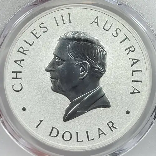 1 oz Silver (COIN) (4)
