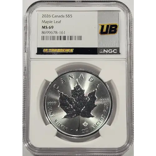 1 oz Silver (COIN)