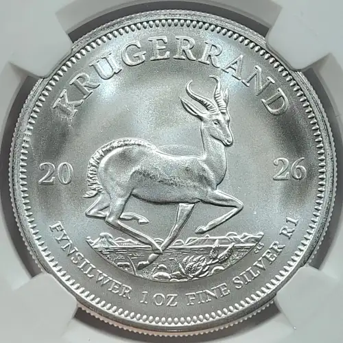 1 oz Silver (COIN) (2)