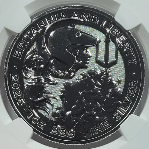 1 oz Silver (COIN) (2)