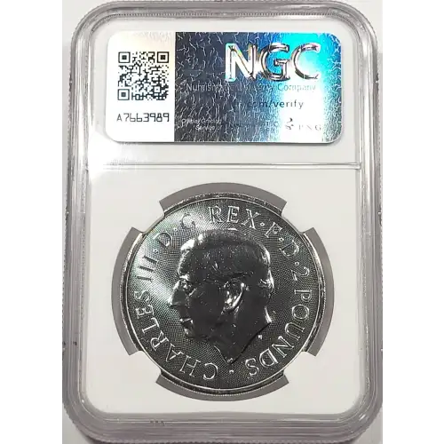 1 oz Silver (COIN) (3)
