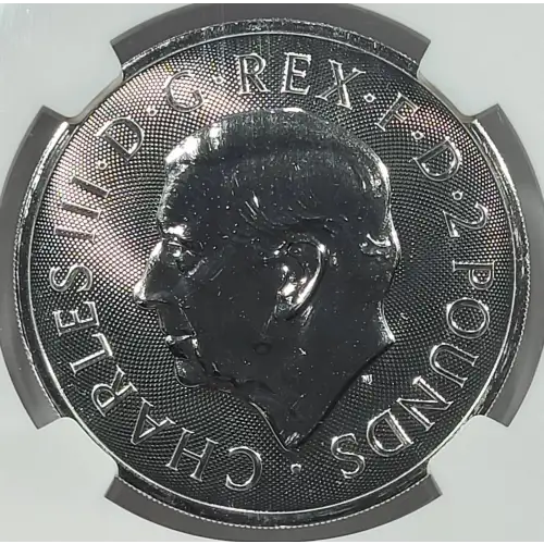 1 oz Silver (COIN) (4)