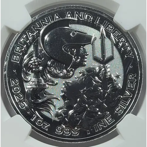 1 oz Silver (COIN) (2)