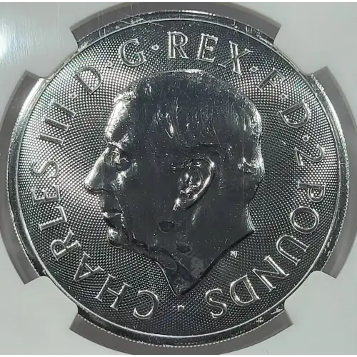 1 oz Silver (COIN) (3)