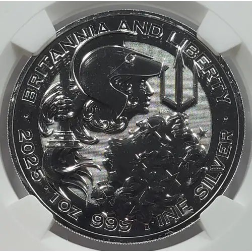 1 oz Silver (COIN) (3)