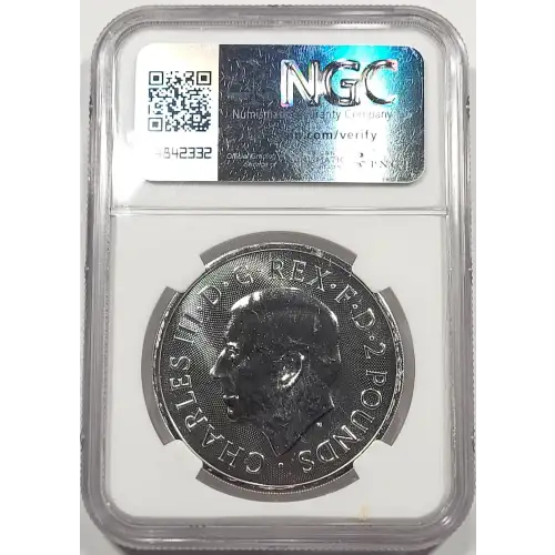 1 oz Silver (COIN)