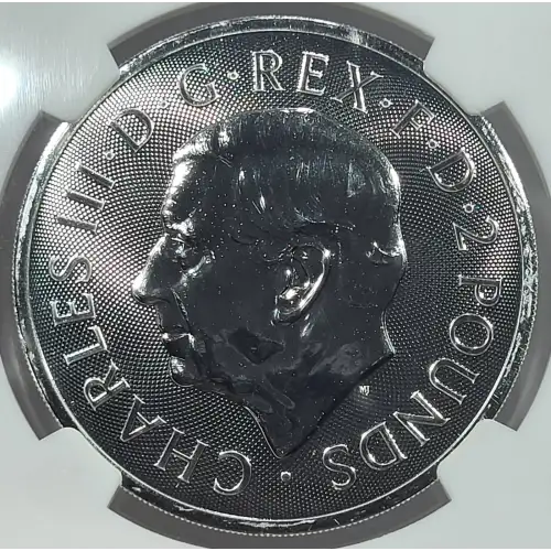 1 oz Silver (COIN) (4)