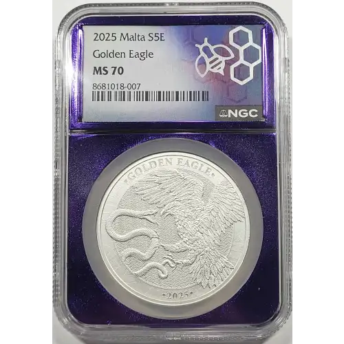 1 oz Silver (COIN)