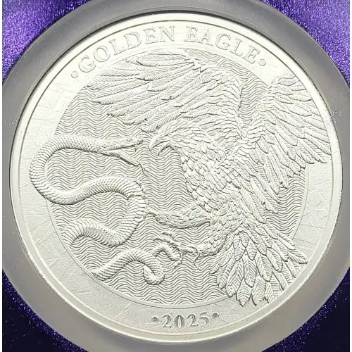 1 oz Silver (COIN) (2)