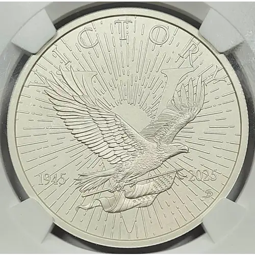 1 oz Silver (COIN) (2)