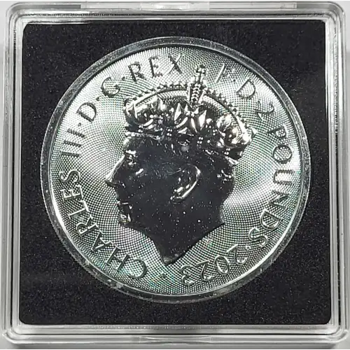 1 oz Silver (COIN)