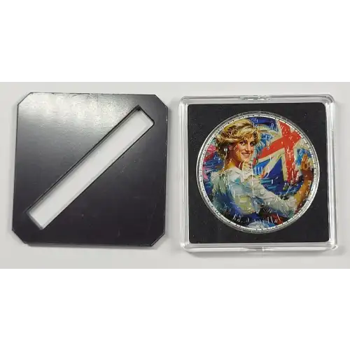 1 oz Silver (COIN)