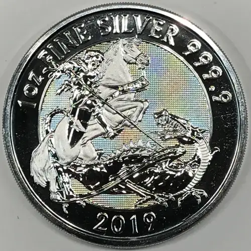 1 oz Silver (COIN)