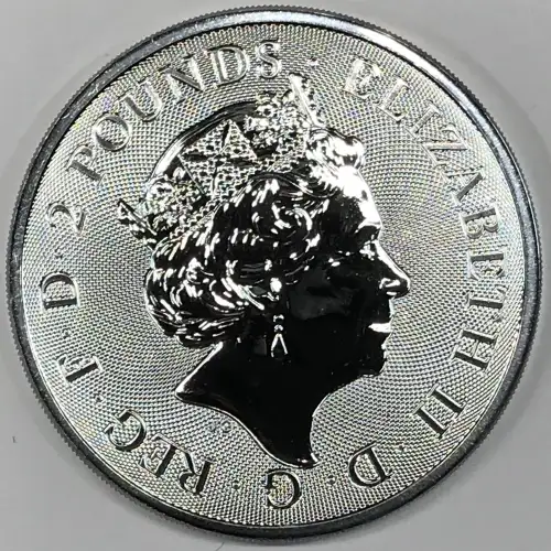 1 oz Silver (COIN) (2)