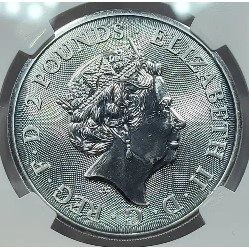 1 oz Silver (COIN)