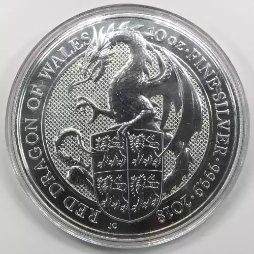 10 oz Silver COIN