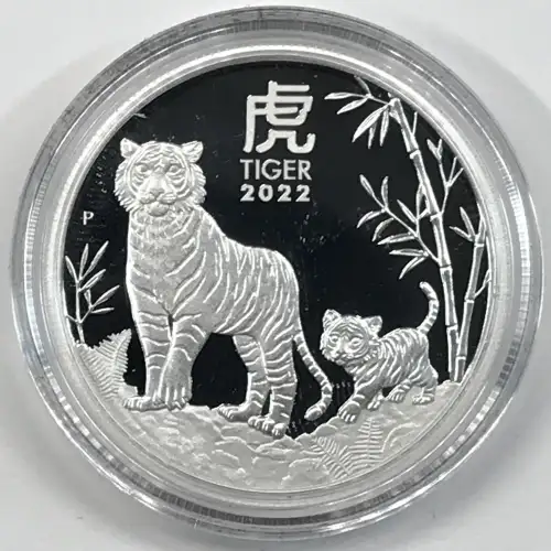 1/2 oz Silver (COIN)