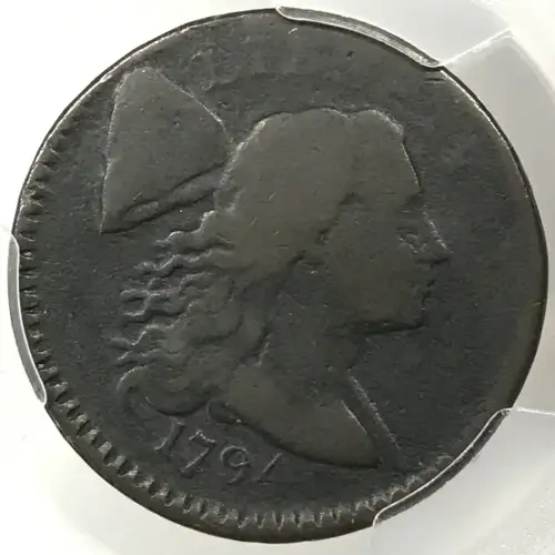 1794 1C Shielded Hair, S-65, BN (3)