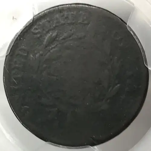 1794 1C Shielded Hair, S-65, BN (6)