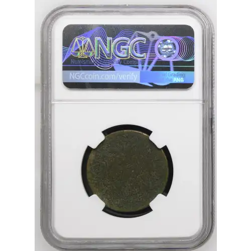 1794 P Flowing Hair Liberty Cap Large Cent NGC F/FINE DETAILS (corrosion) - Head of 1794 (3)