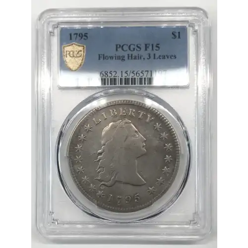 1795 $1 Flowing Hair, 3 Leaves (2)