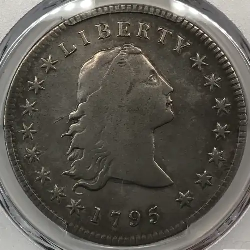 1795 $1 Flowing Hair, 3 Leaves (7)
