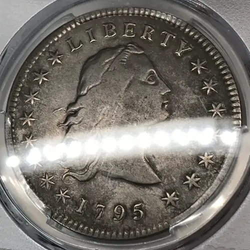 1795 $1 Flowing Hair, 3 Leaves (3)