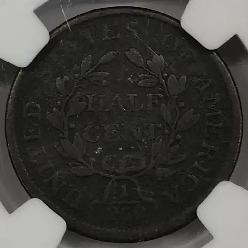 1804 PLAIN 4 C-13 BN (2)