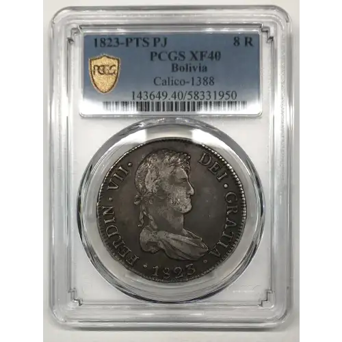 1823-PTS PJ 8 R Calico-1388 (2)