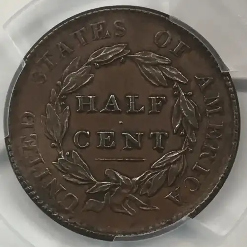 1828 1/2C 13 Stars, BN