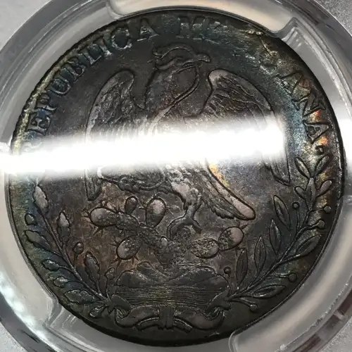 1829-Do RL 8 R Do06 (6)