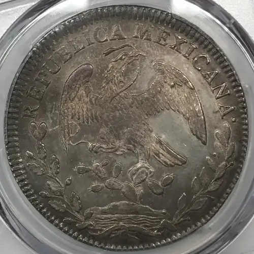 1834-Mo ML 8 R Mo14 (6)