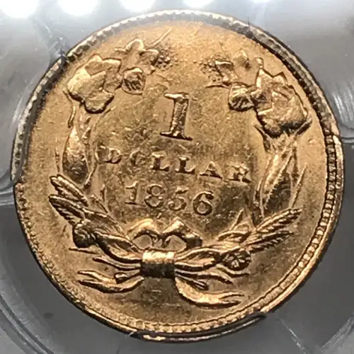 1856 G$1 Slanted 5 (5)