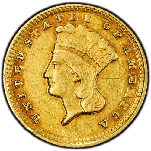 1858-D G$1 (3)