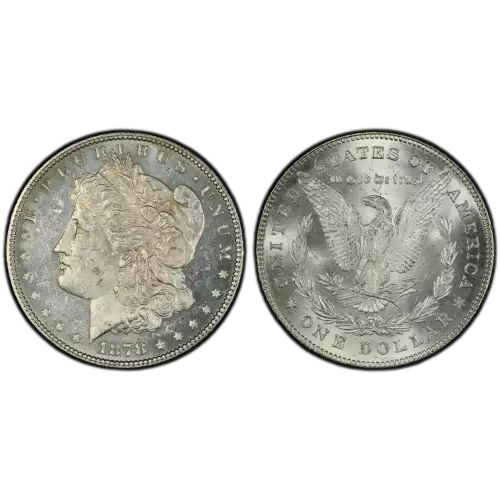 1878 7/8TF $1 Strong (4)