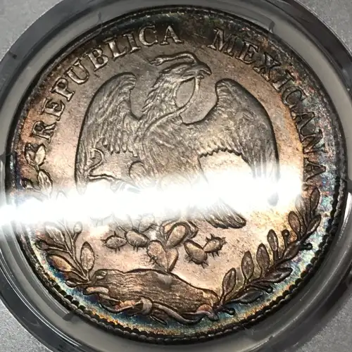 1878-Do TB 8 R Do64 (3)