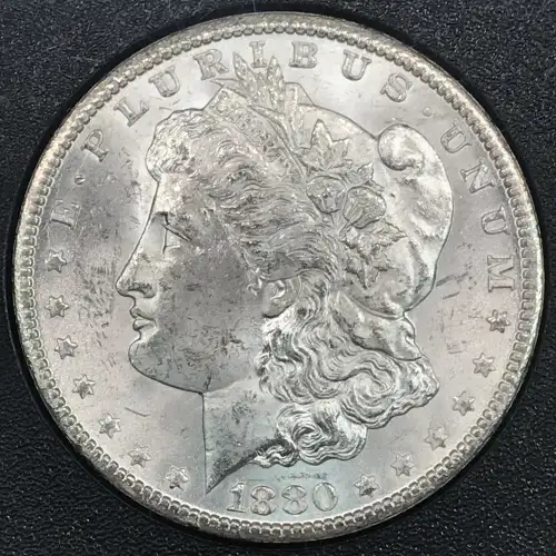 1880 GSA HOARD (6)