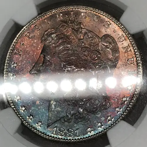 1881 (7)