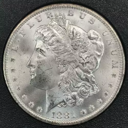 1881 GSA HOARD  (3)