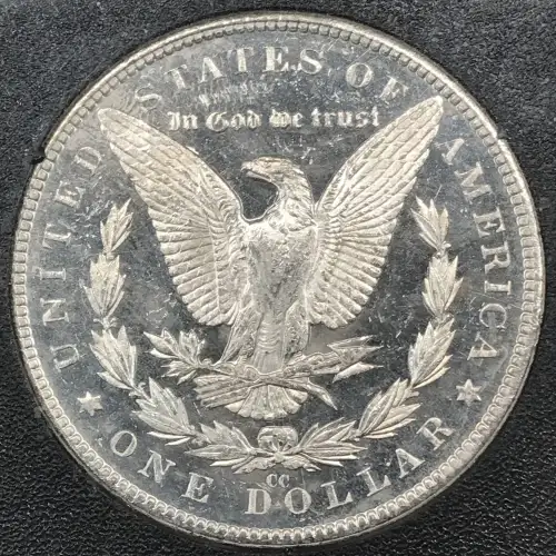 1882 GSA HOARD DPL (5)