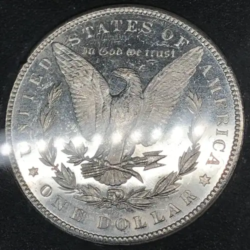 1882 GSA HOARD DPL (4)