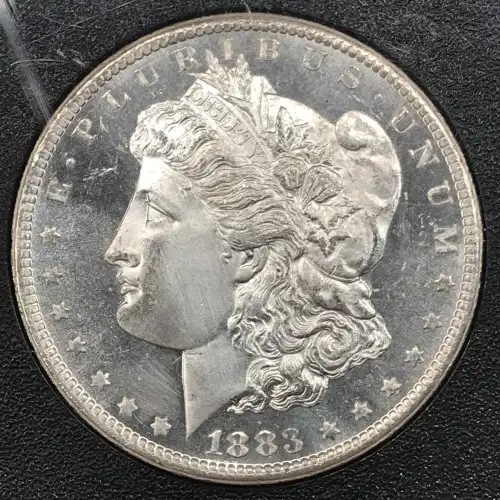 1883-CC GSA Treasure $1 (5)